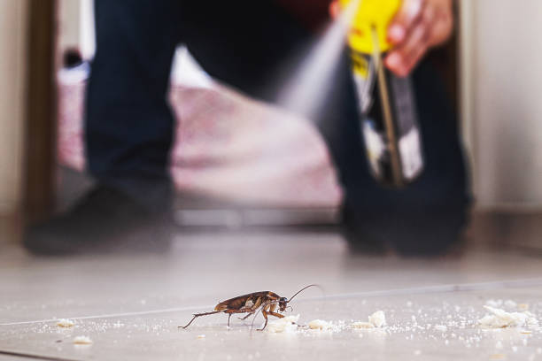 Best Best Pest Control Companies  in Winfield, KS